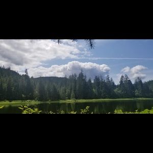 Meet your posher 🤗🌺